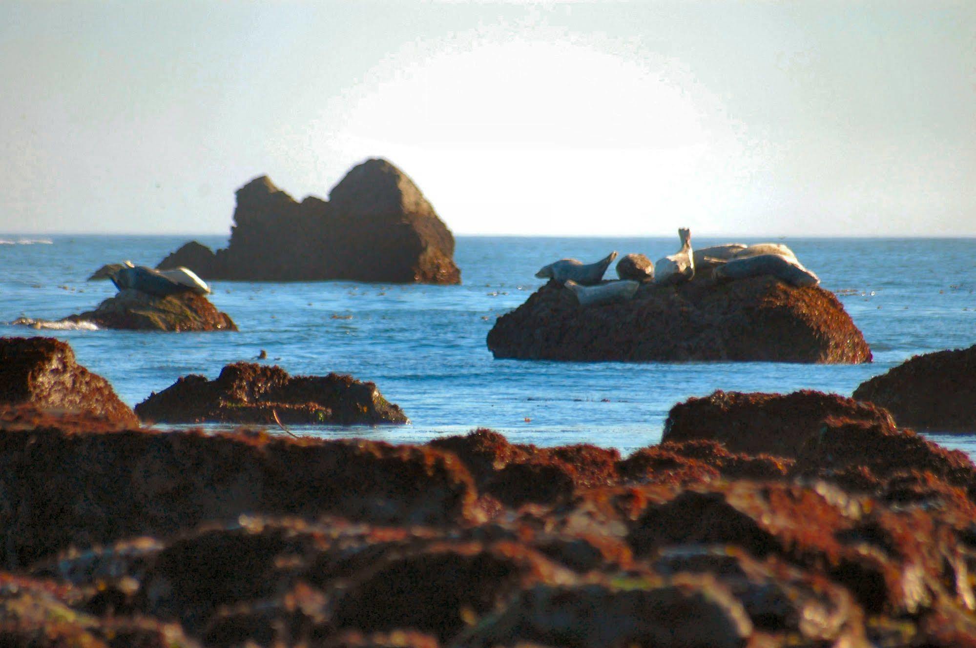 Oceanfront Lodge Crescent City Εξωτερικό φωτογραφία